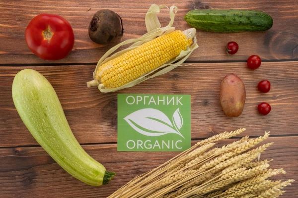 К 2030 году производство органической продукции в РФ может вырасти в 13 раз