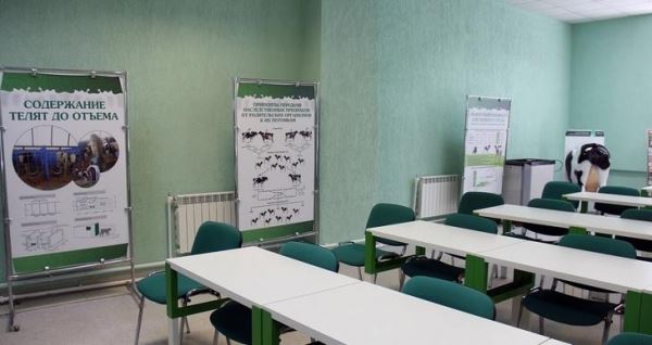 В Томском аграрном колледже откроется учебный центр молочного животноводства