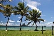 Остров Фиджи отменил антиковидные ограничения