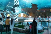 В ОАЭ открывается морской тематический парк с самым большим аквариумом